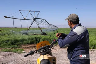 کشت و صنعت و دامپروری دشت آذر نگین