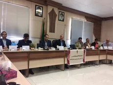 جشنواره رسانه و توسعه گفتمان مهارت آموزشی سال آینده در گلستان برگزار می‌شود
