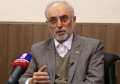 فیلم/ ماجرای آزادی  ۴۸ نفر ایرانی دستگیرشده توسط داعش