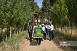 زیر سایه خورشید