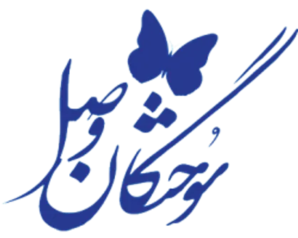 جشنواره &laquo;سوختگان وصل&raquo; با محوریت یمن به تبیین انقلاب می&zwnj;پردازد