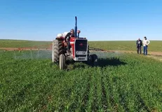 پرداخت ۱۱۰۰ میلیارد تومان تسهیلات به ۵۴۹ طرح کشاورزی در کرمانشاه