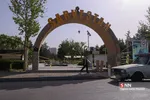 new
