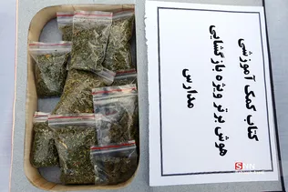 طرح ظفر ۱۳