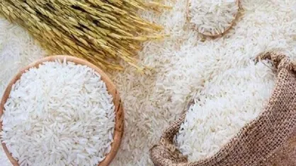 تولید برنج به یک میلیون و ۸۰۰ هزارتن می&zwnj;رسد