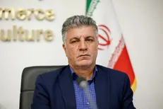 بارش‌های بهاری و افزایش امراض قارچی در مزارع گندم و سیب‌زمینی گلستان