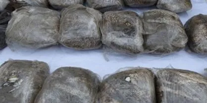 کشف بیش از ۱۱۷۷ تُن انواع مواد مخدر در سال گذشته