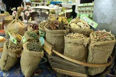 کشور ما در مرحله گذار از اقتصاد مبتنی بر منابع به اقتصاد مبتنی بر بهره‌وری قرار دارد