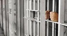 ۲۱۵ محکوم افغانستانی به کشورشان برگشتند