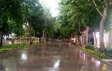کاهش محسوس دما در نوار شمالی کشور/ هشدار هواشناسی برای ۷ استان