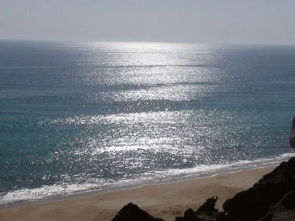 نشت نفت به سواحل جنوب&zwnj;شرق عمان رسید