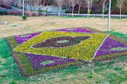 فرش&zwnj;های گل زینت بخش بزرگراه&zwnj;های منطقه ۲ پایتخت شد