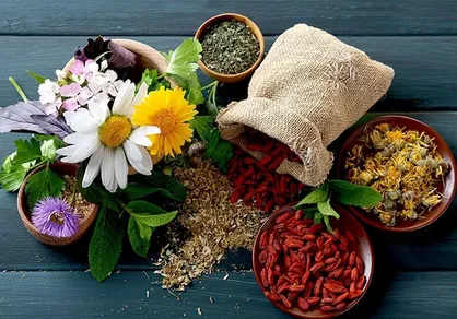 آغاز توزیع چهار داروی گیاهی پژوهشکده گیاهان دارویی جهاددانشگاهی در داروخانه&zwnj;های سراسر کشور