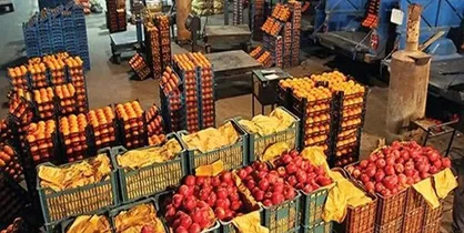 مناسب سازی ۲۲ بازار میوه و تره بار همزمان با ۱۲ آذرماه روز جهانی معلولان