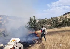 زاگرس در آتش بی‌تدبیری مسئولان همچنان می‌سوزد / خوش غیرتی زنان و کودکان برای نجات درختان بلوط