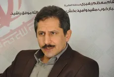 شهردار تبریز برای قطع درختان پاسخگو باشد