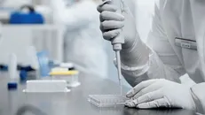مادرنا در حال تقویت زنجیره تامین و تولید واکسن ضدکرونا است