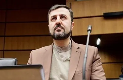غریب آبادی: برخی ایرانیان زندانی در خارج از کشور از خدمات بهداشتی مناسب برخوردار نیستند