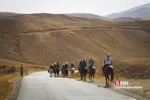 اسب