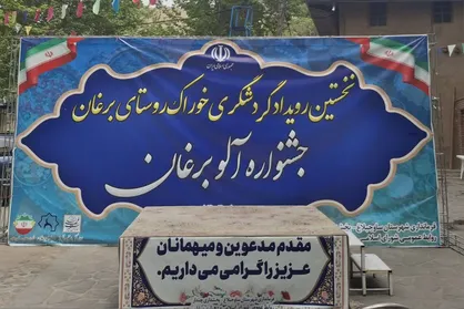 برگزاری جشنواره "آلوی برغان" در البرز/ معرفی طعم محلی و صنایع دستی