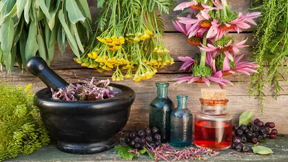 شرکت&zwnj;های دانش&zwnj;بنیان و خلاق گیاهان دارویی راه و رسم صادرات را می&zwnj;آموزند