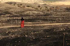 «فریاد بلوط» در شبکه مستند روی آنتن می‌رود
