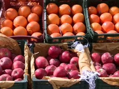 ممنوعیت صادرات سیب و پرتقال لغو شد +سند