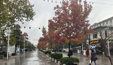 بارش باران و رعد و برق در گلستان