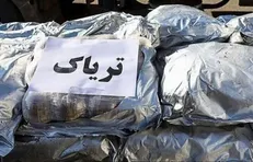 کشف ۷ کیلو تریاک از قاچاقچی سابقه دار در غرب پایتخت