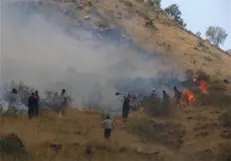 کاهش ۴۶ درصدی آتش سوزی جنگلها