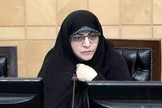لاجوردی: فرهنگ اولین قربانی در تخصیص بودجه است