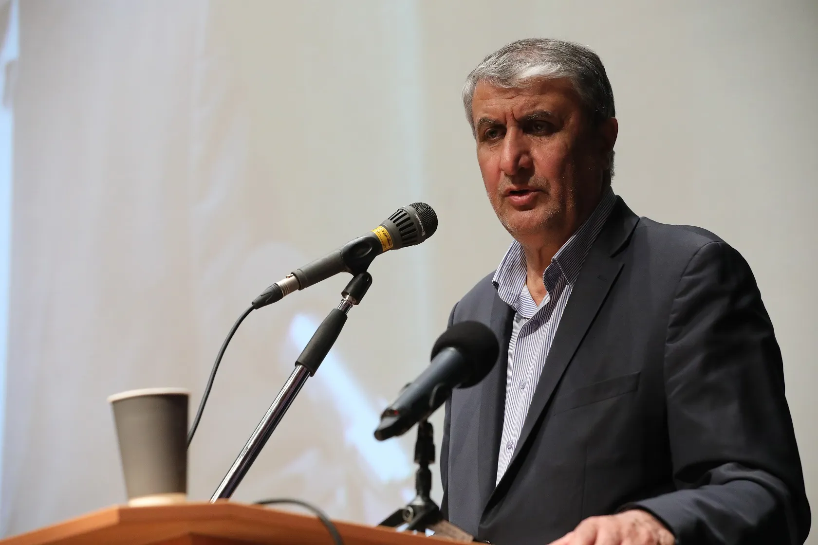 اسلامی: خیلی مذبوحانه از حضور من در کنفرانس وین جلوگیری کردند، اما در پایان آمریکایی‌ها مبهوت شدند + فیلم