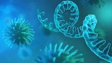 مروری بر امکانات RNA درمانی و چشم‌انداز‌های آن