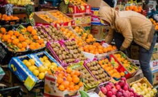 نظارتی بر گرانفروشی در بازار میوه وجود ندارد