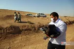 رهاسازی ۹ قطعه پرنده شکاری و آبزی در تالاب بهشت معصومه