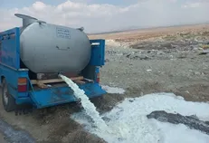 ۸ تُن شیر خام غیرمجاز در زاهدان امحا شد