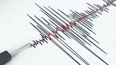 دست‌کم ۳۲ کشته و بیش از ۷۰۰ زخمی بر اساس آمار اولیه تلفات زلزله ونزوئلا