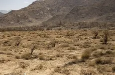 بارش‌های امسال ۴۲ درصد کمتر از متوسط ۳۰ سال اخیر/ گرمای ۵۰ درجه در اهواز