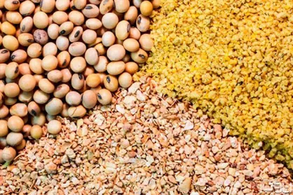 واکنش واردکنندگان نهاده&zwnj;های دامی به اظهارات عضو کمیسیون کشاورزی