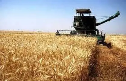 عبور خرید تضمینی گندم از مرز ۲ میلیون تن