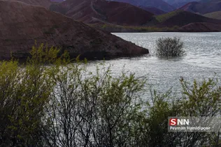 پر آبی عبدل آباد