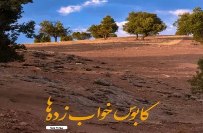 کابوس خواب زده&zwnj;ها / سیزدهمین شماره نشریه دانشجویی &laquo;سدید&raquo; منتشر شد