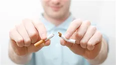 محققان کاهش خطرات ناشی از دود سیگار را بررسی می‌کنند
