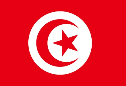 شهید سلیمانی بین مردم تونس جایگاه والایی دارد/ منتظر انتقام هستیم