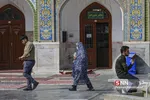 زائر