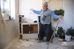 دبب