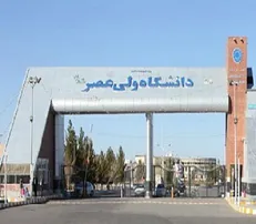 دانشگاه ولی عصر (عج) رفسنجان در لیست دانشگاه‌های پراستناد برتر دنیا قرار گرفت