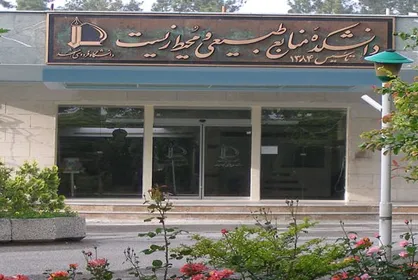 سه رتبه اول آزمون کارشناسی ارشد از یک دانشگاه؛ دانشجویان فردوسی گل کاشتند