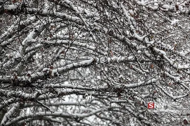 سوز سرما ادامه دارد/ پیش‌بینی بارش برای مناطق مختلف ایران