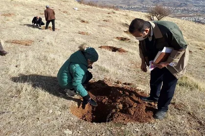 پویش مردمی بذرکاری و احیای ۳ هزار هکتار از جنگل&zwnj;های زاگرس